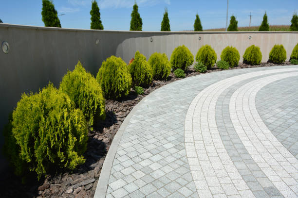 Best Decorative Driveway Pavers  in Ivins, UT